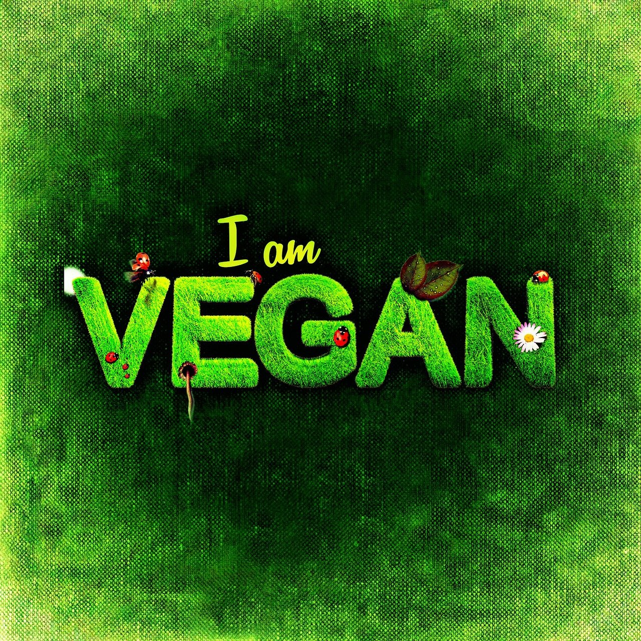 iamvegan-글씨-사진