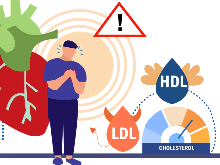 LDL-콜레스테롤-HDL-콜레스테롤-무엇일까